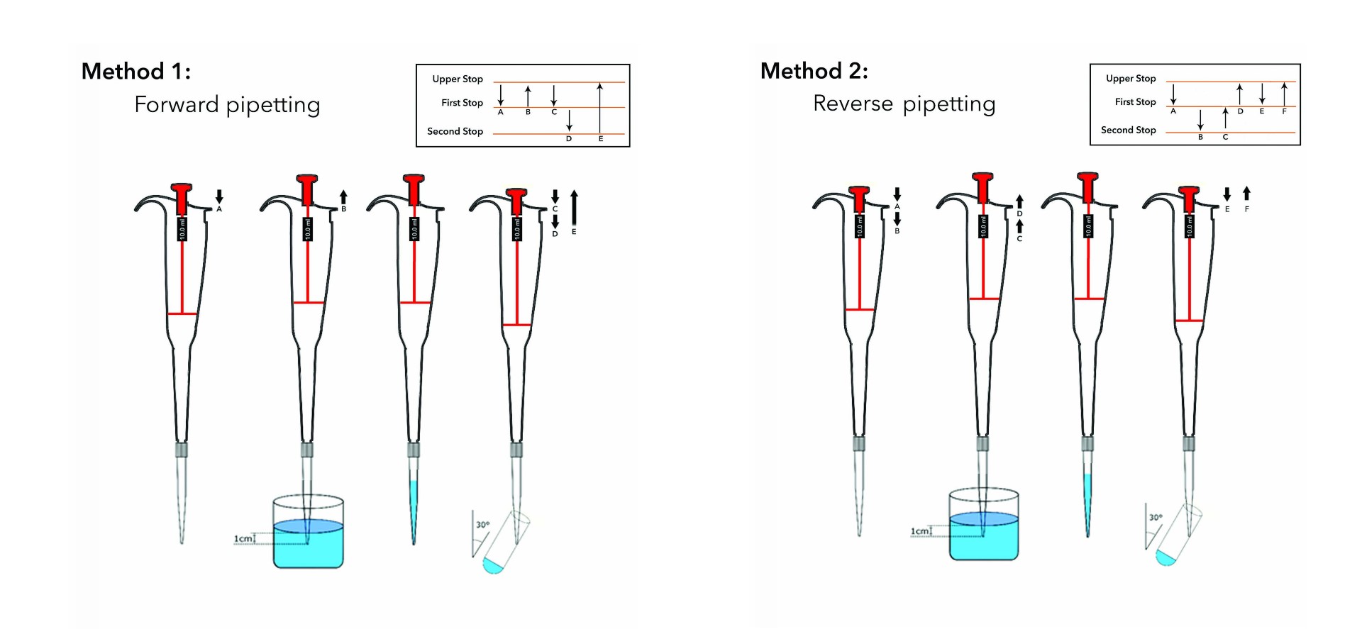 Pipette techniques Pipette techniques