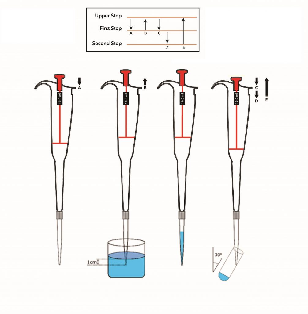 Plunger Force Plunger Force in the Micropipettes